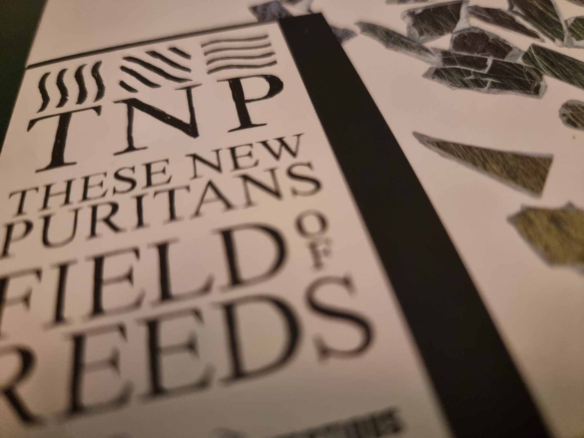 Cover image from These New Puritans 'Field of Reeds' CD