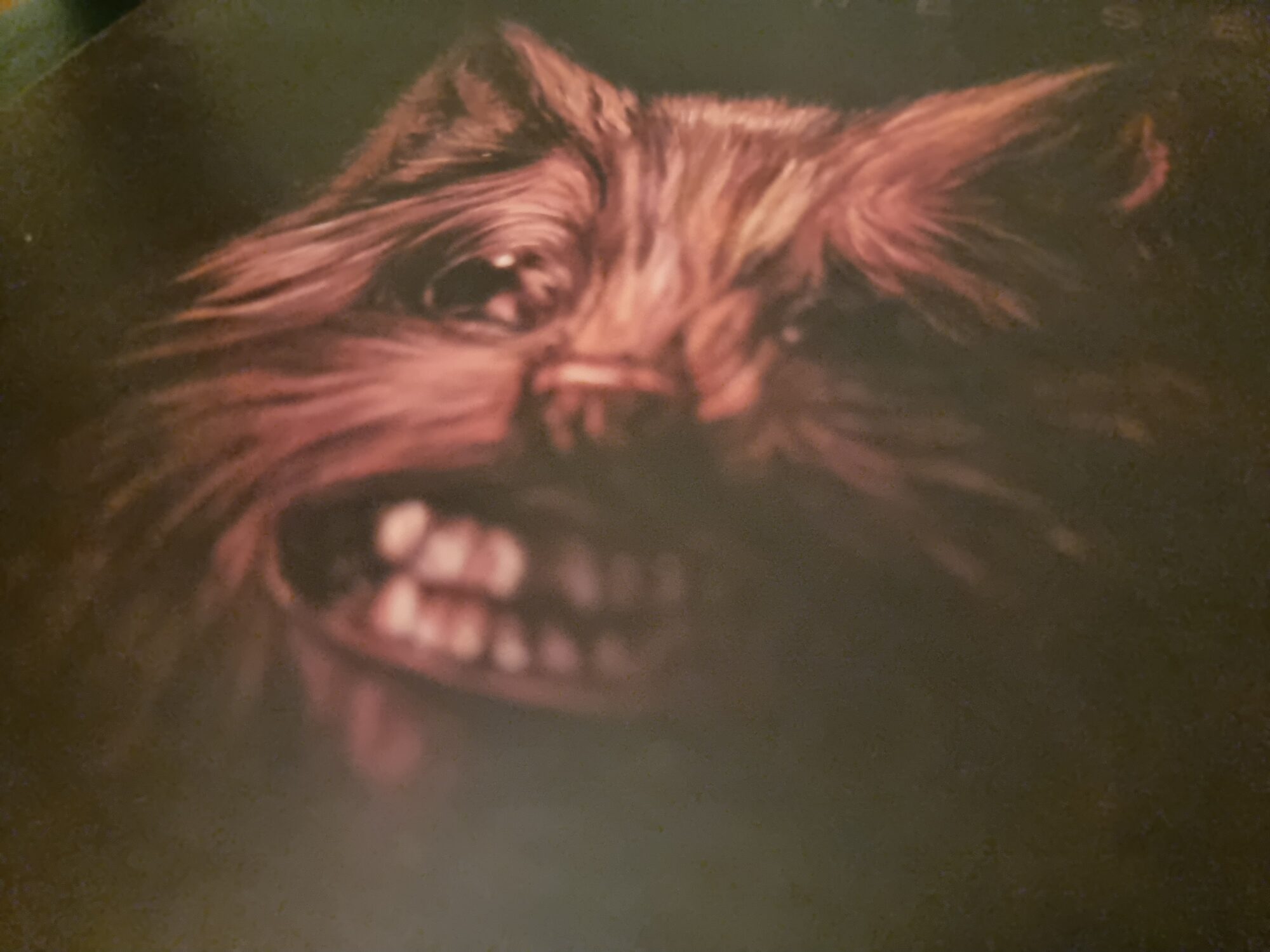 Cover image from Swans 'The Seer' CD