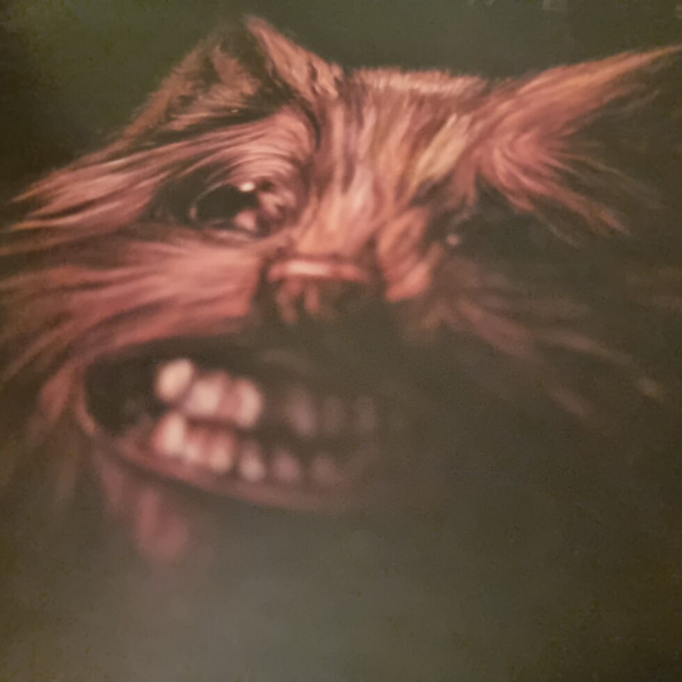 Cover image from Swans 'The Seer' CD