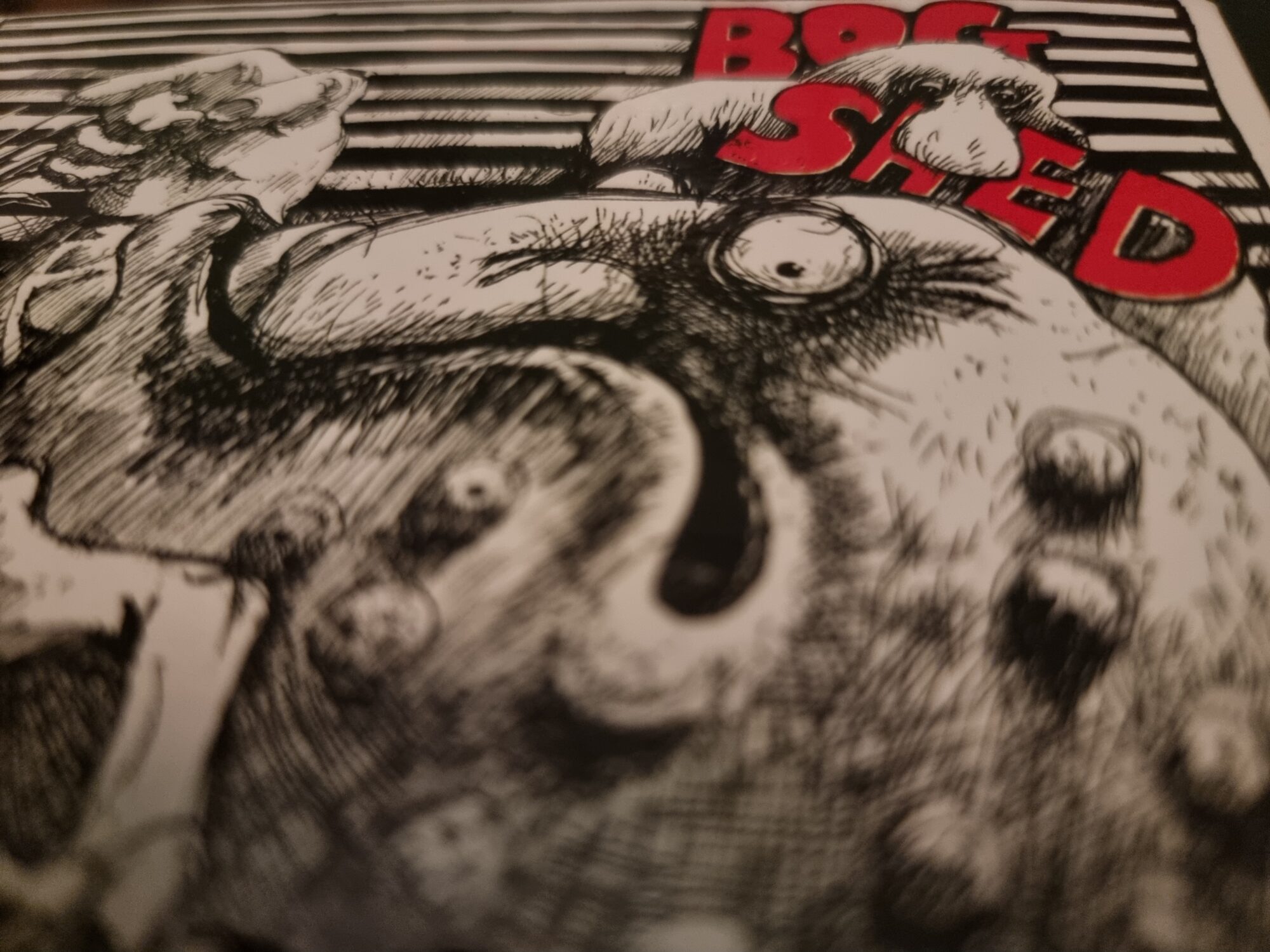 Cover image from Bogshed 'Bog-set' CD reissue