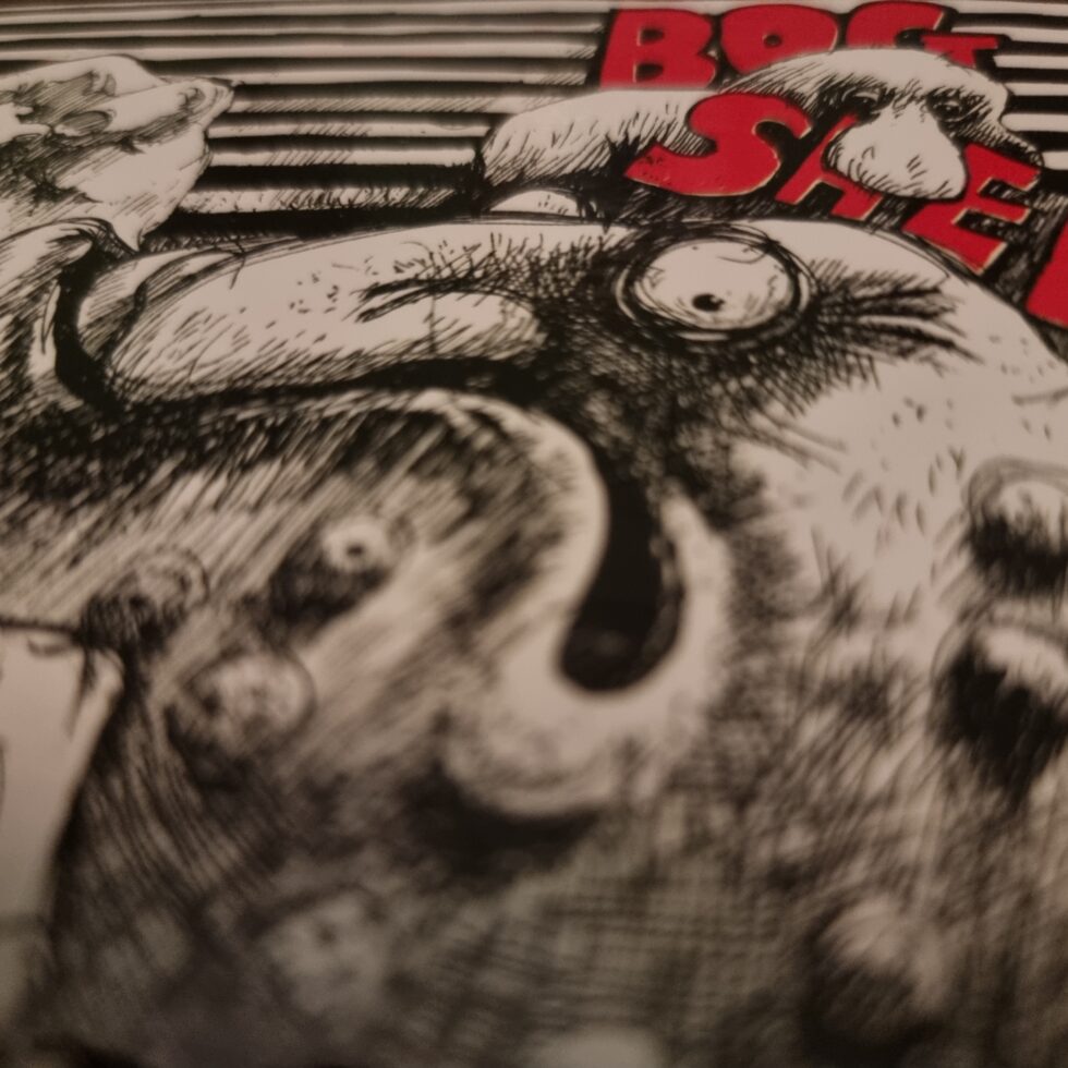 Cover image from Bogshed 'Bog-set' CD reissue