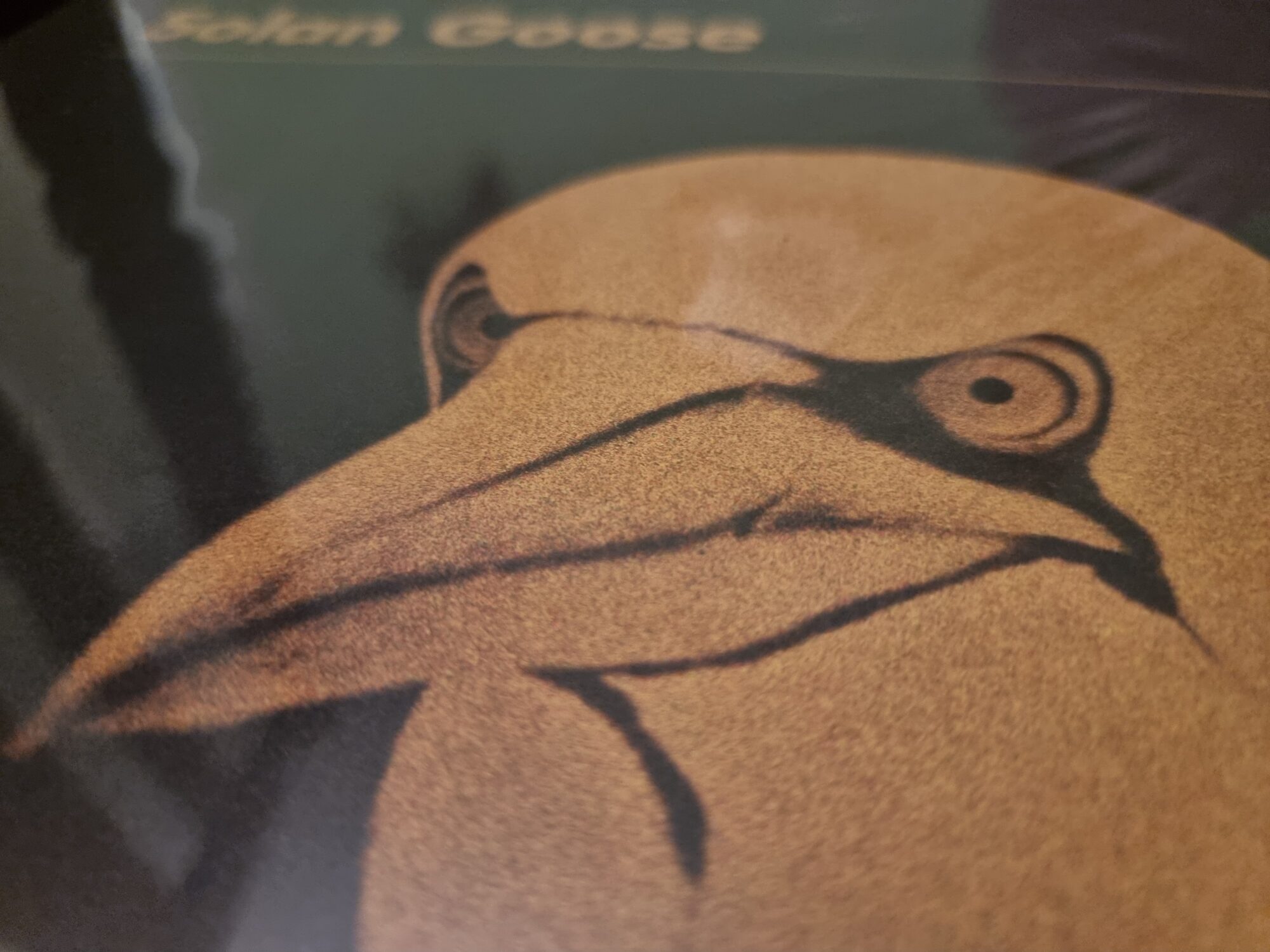 Cover image from Erland Cooper 'Solan Goose' LP