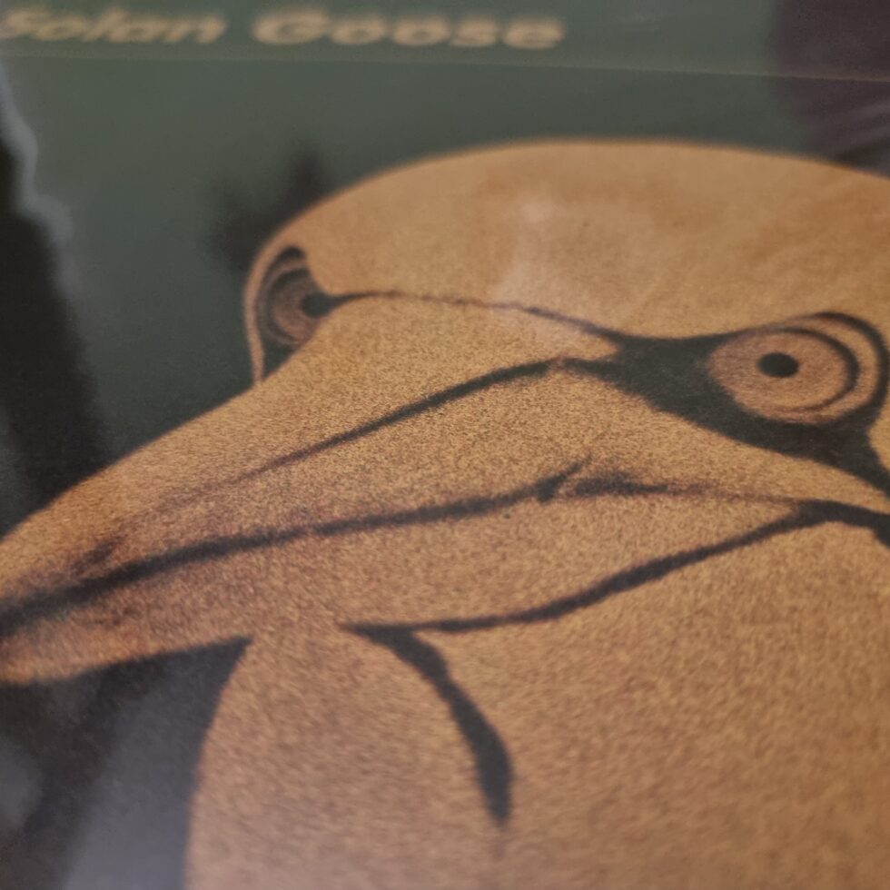 Cover image from Erland Cooper 'Solan Goose' LP