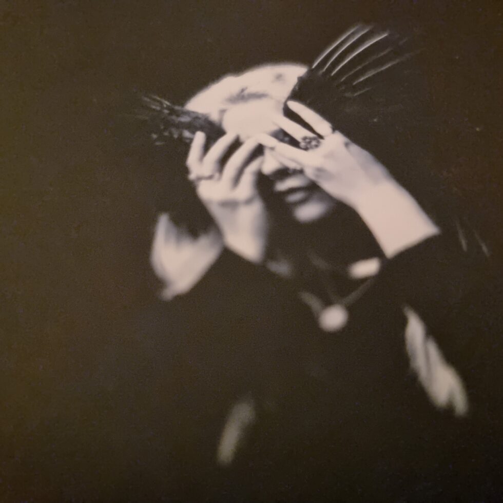 Cover image from Anna B Savage 'A Common Turn' CD